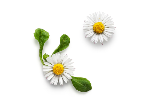 slider-3-shutterstock_1891070331